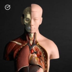 NAPNES IV Therapy Certification Course Online Education Programs NAPNES IV Therapy Certification Course Online Education Programs